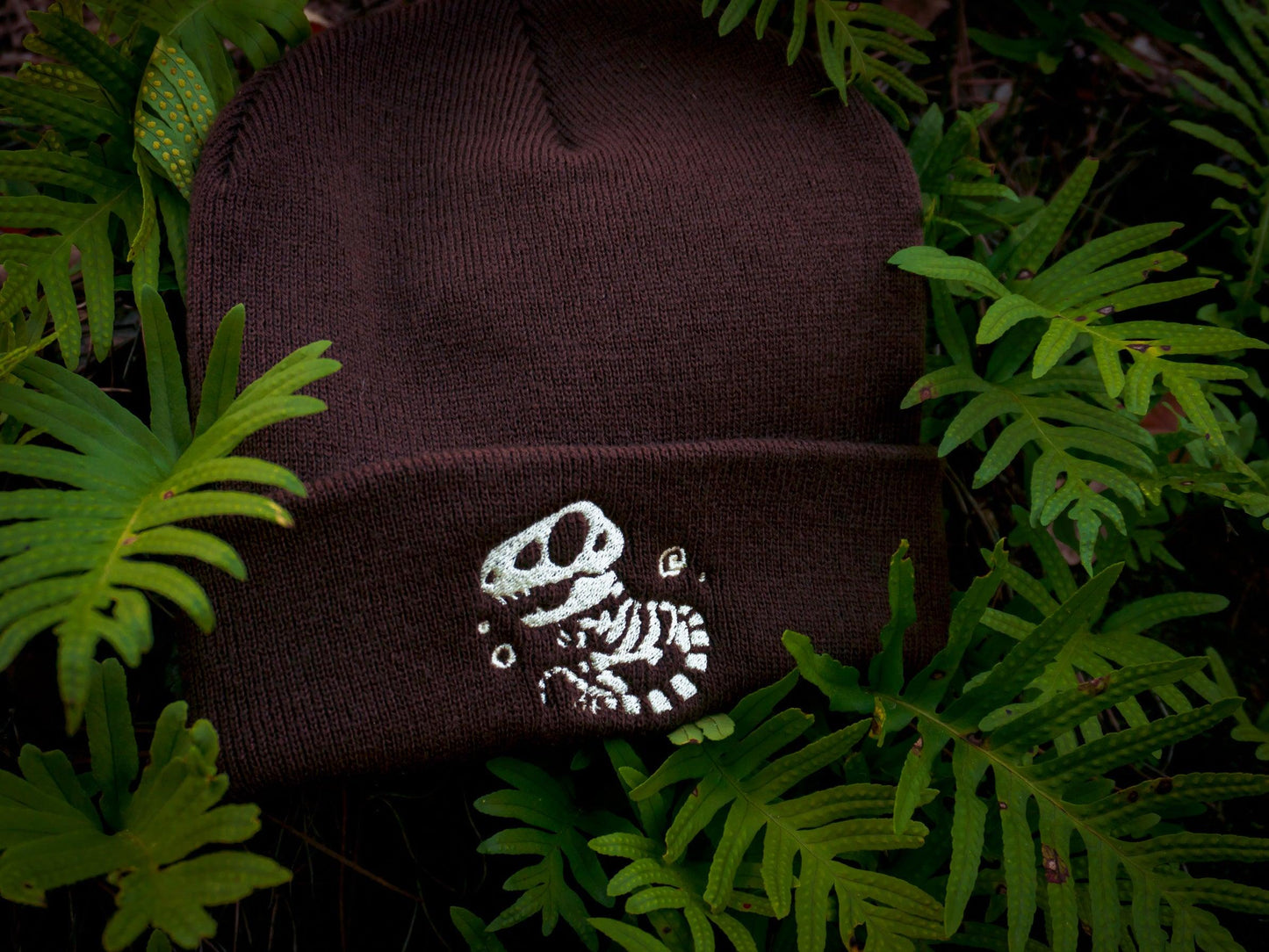 T-REX DINOSAUR FOSSIL BEANIES AlienInAJar