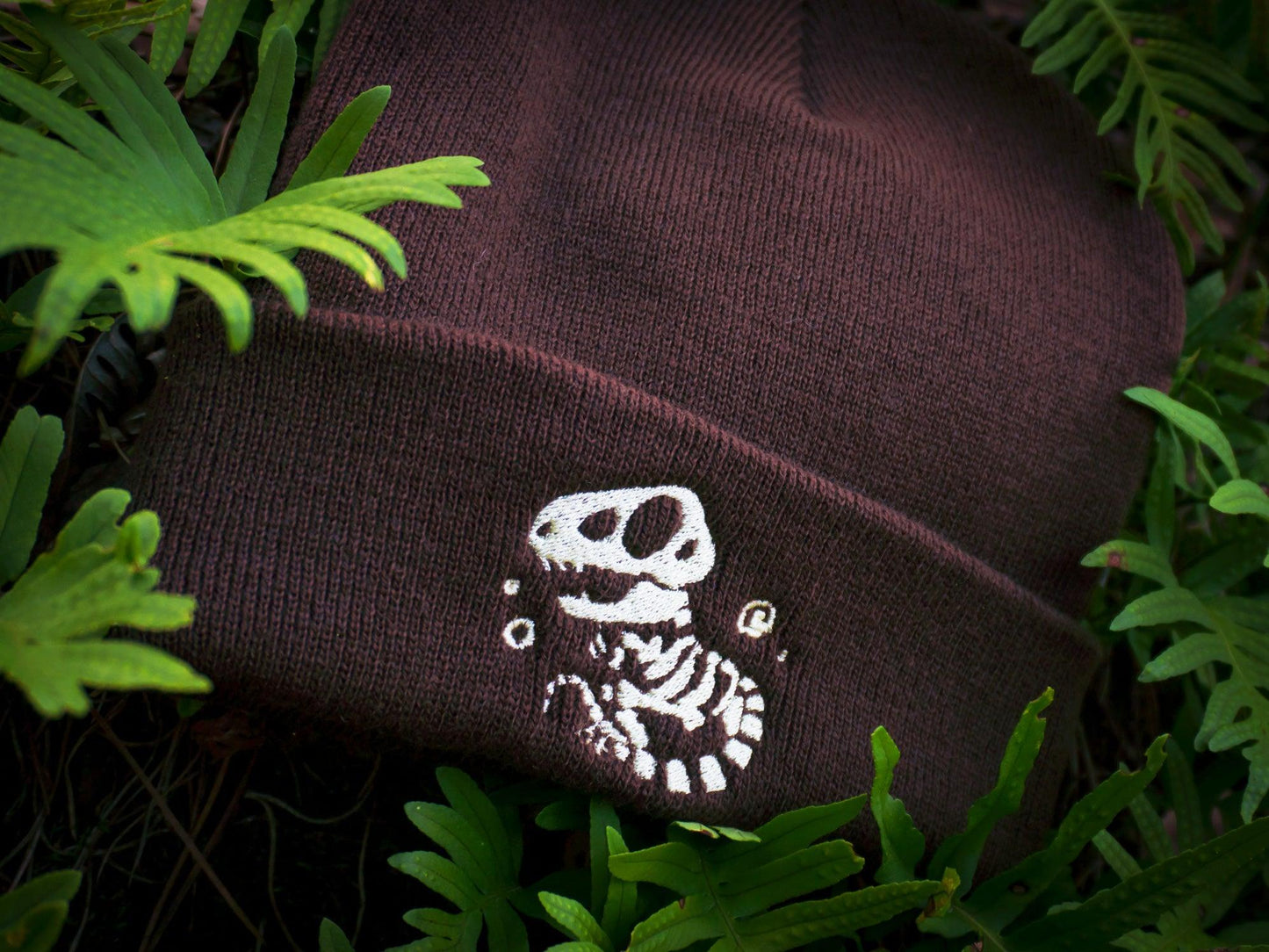 T-REX DINOSAUR FOSSIL BEANIES AlienInAJar