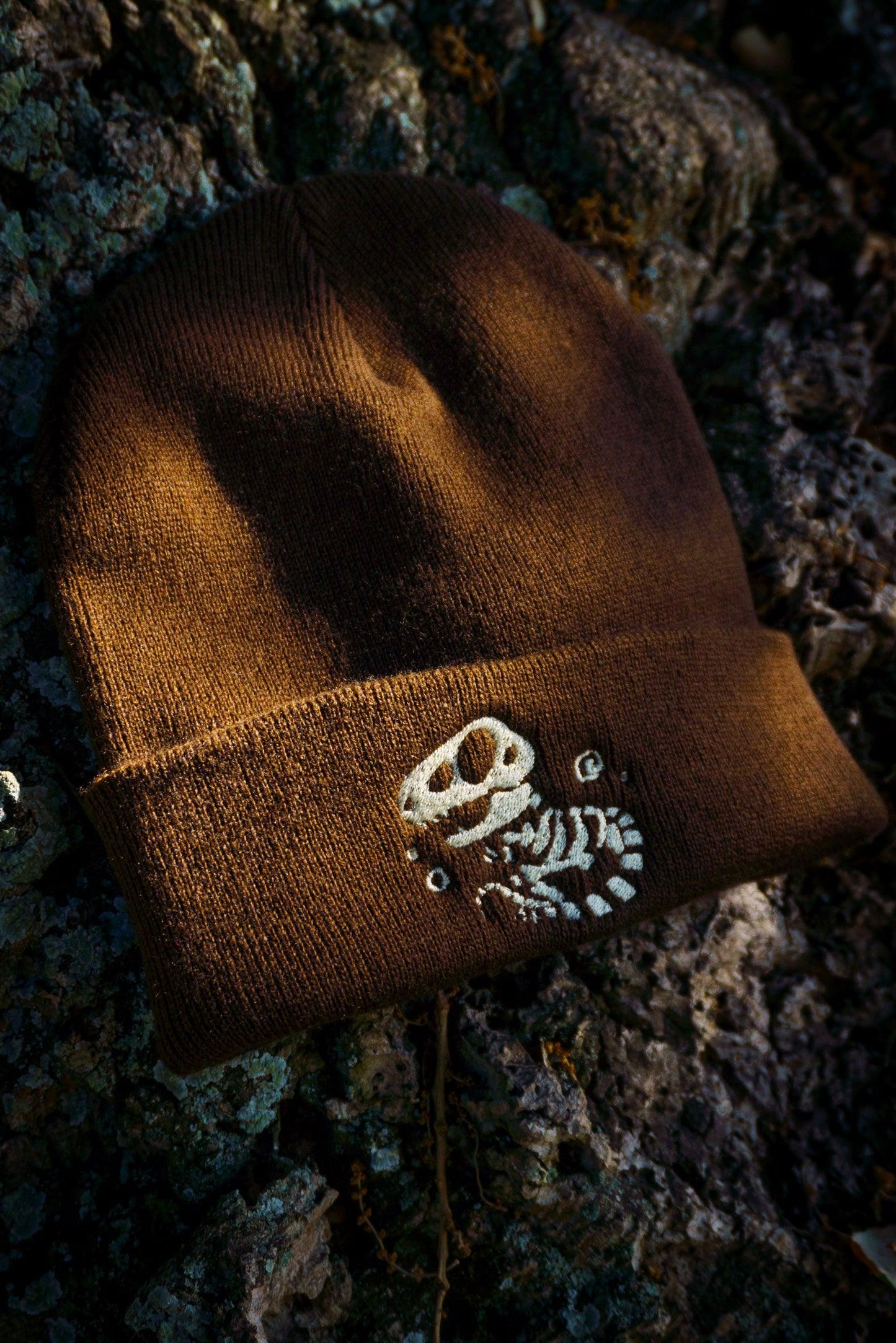 T-REX DINOSAUR FOSSIL BEANIES AlienInAJar