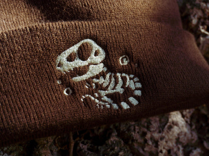 T-REX DINOSAUR FOSSIL BEANIES AlienInAJar