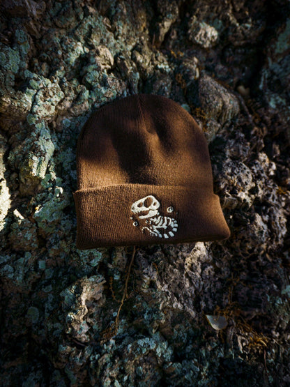 T-REX DINOSAUR FOSSIL BEANIES AlienInAJar