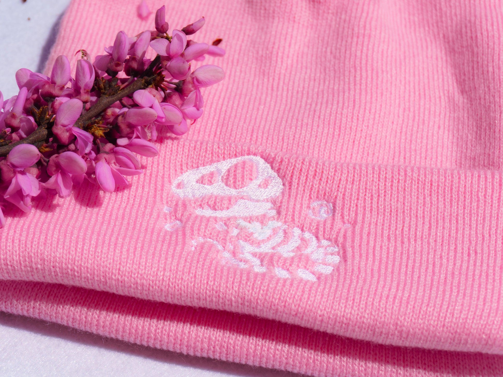 T-REX DINOSAUR FOSSIL BEANIES AlienInAJar