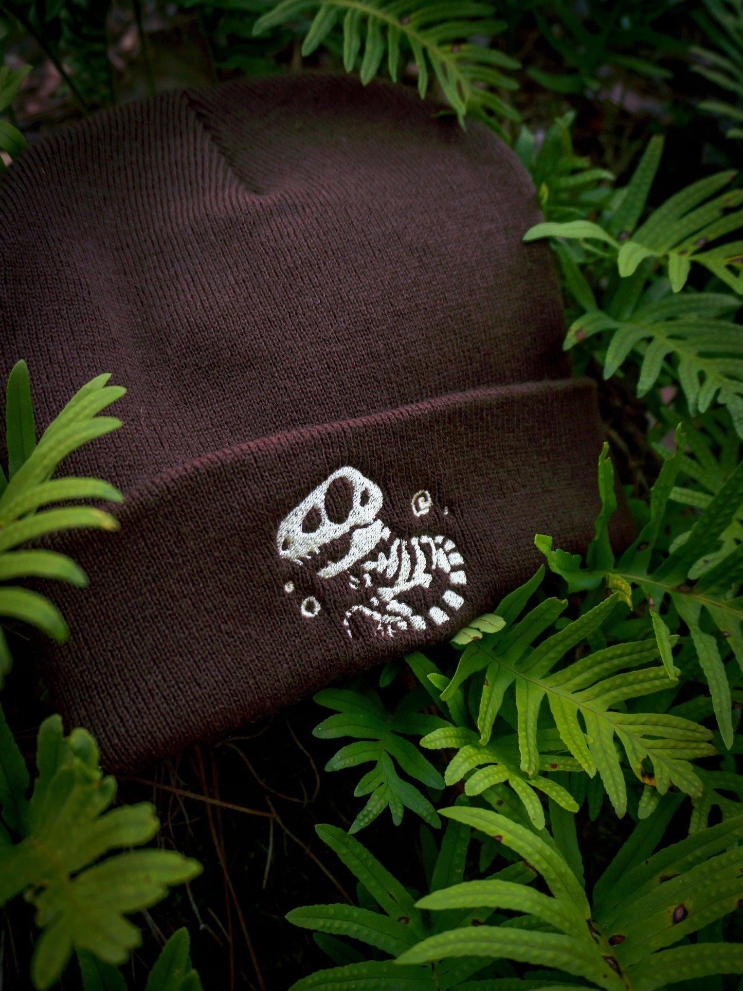 T-REX DINOSAUR FOSSIL BEANIES AlienInAJar