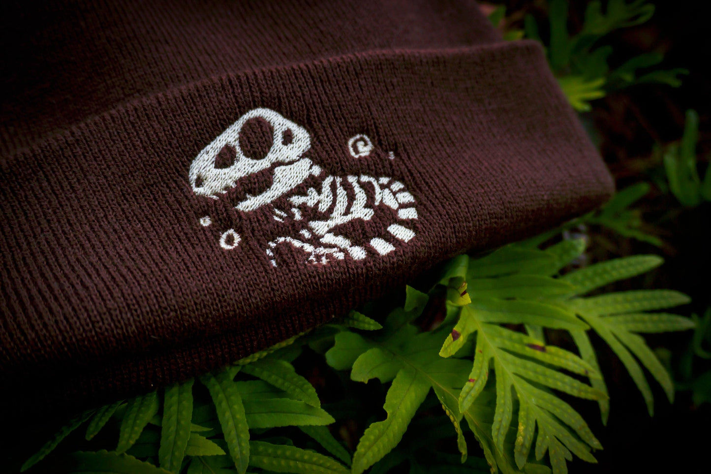 T-REX DINOSAUR FOSSIL BEANIES AlienInAJar