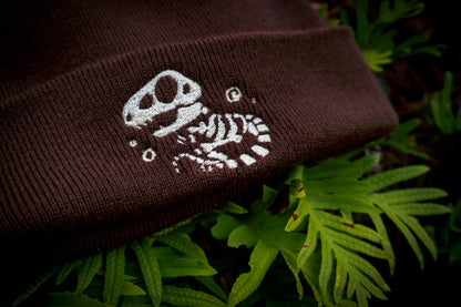 T-REX DINOSAUR FOSSIL BEANIES AlienInAJar