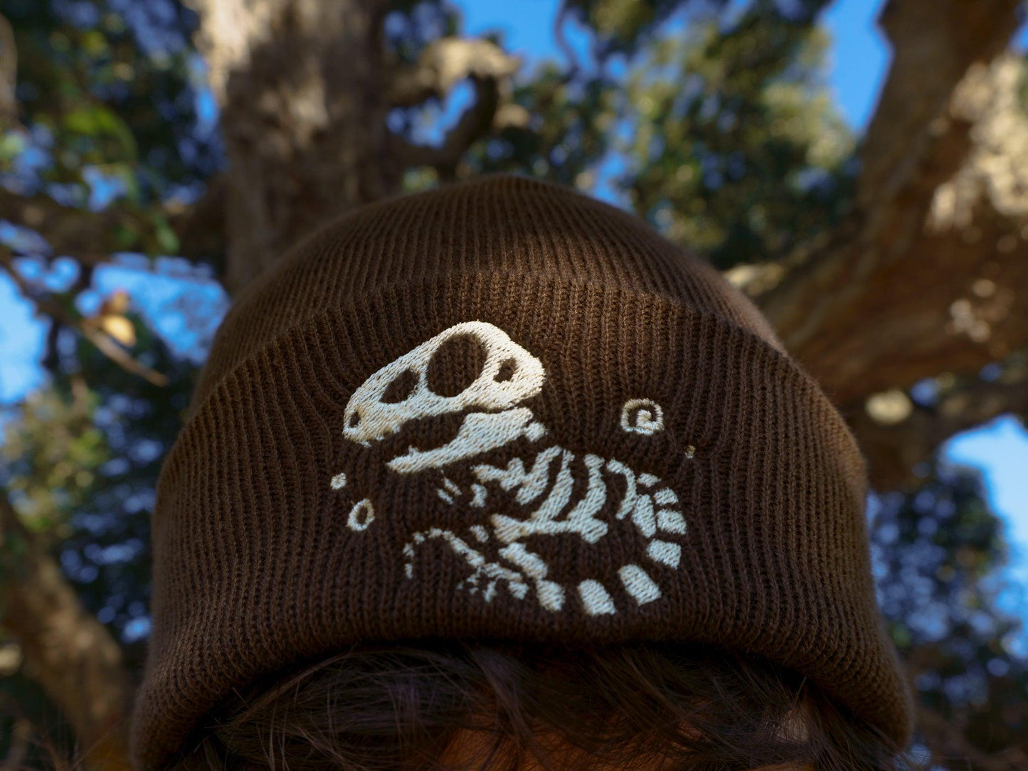 T-REX DINOSAUR FOSSIL BEANIES AlienInAJar